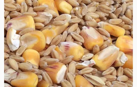 Зерновые отходы