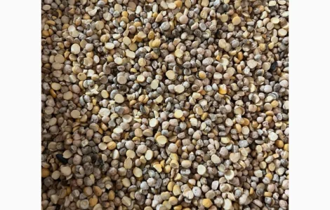 Кукурудза горох соя нут зернові відходи від 20 тон