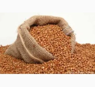 Продам Гречку Пшеницю Ячмінь та Овес