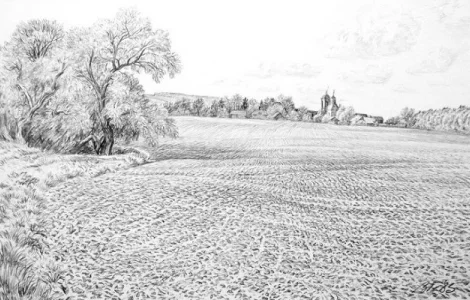 Закупаем ЯЧМЕНЬ и ПШЕНИЦУ а так же ИХ ПОЛЕЗНЫЕ ОТХОДЫ (половинки).Оплата сразу