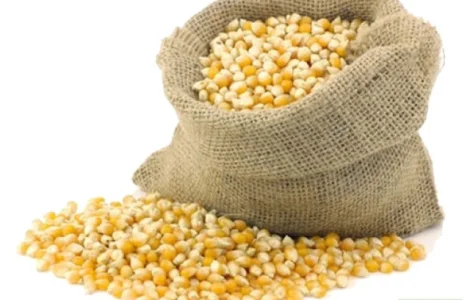 Куплю ЗЕРНОВЫЕ: пшеницу, кукурузу и др