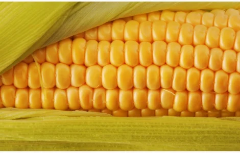 Закупка масличных и зерновых культур, Украина