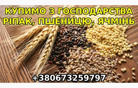Купим с дорого с места ячмень, рапс, пшеницу