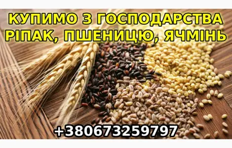 Купим с дорого с места ячмень, рапс, пшеницу