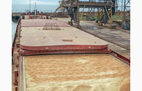 Принимаем Ячмень Пшеницу Кировоград 2024 новий урожай