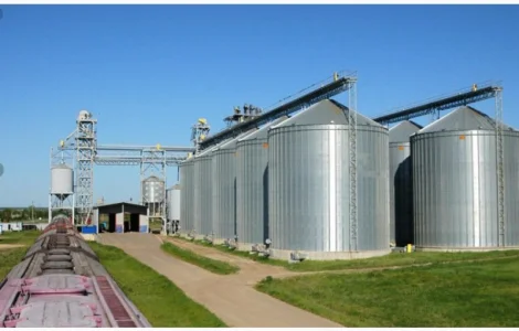 Принимаем Ячмень Пшеницу Нового урожая 2024