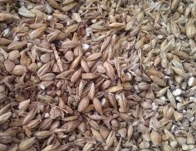 Постійно купуємо зерновідходи та некондицію