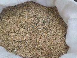 Куплю зерновідходи, некондицію з самовивозом