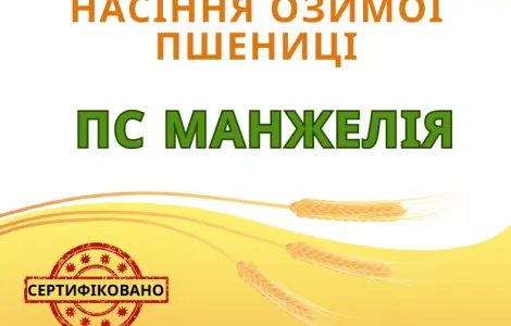Озима пшениця з високою врожайністю