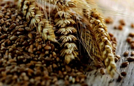 Реалізовуємо пшеницю, 3 клас