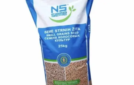 Насіння озимой пшеницы НС 40 С из Сербии
