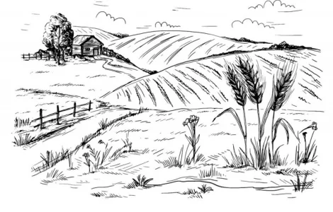 Купим Проблемную ПШЕНИЦУ (проросшую