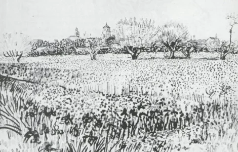 Закупаем ПРОБЛЕМНУЮ ПШЕНИЦУ постоянно. Самовывоз. Быстро. Дорого