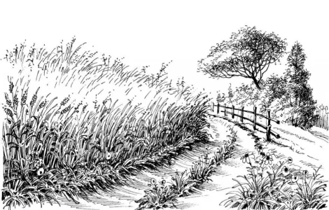 ЗАкупаем ТВЕРДУЮ Пшеницу на переработку круглый год.Дорого.Оплата быстро.Самовывоз