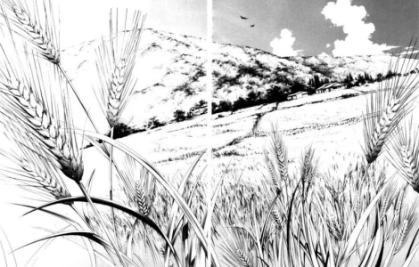 Закупаем ПРОБЛЕМНУЮ ПШЕНИЦУ (проросшую