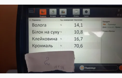 Пропонується пшениця в кількості 30 тонн