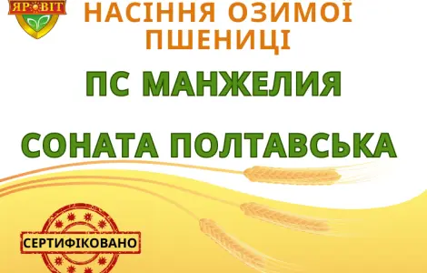 Продаж насіння озимої пшениці