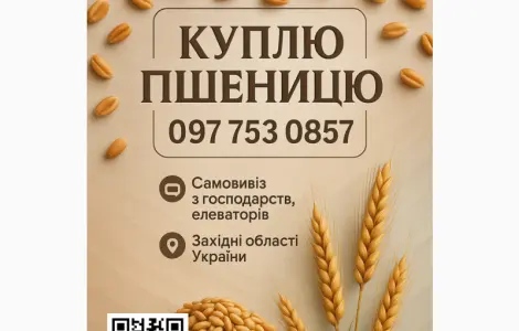 Купую пшеницю фураж