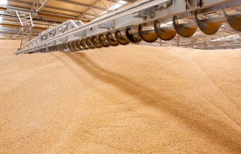 Куплю пшеницю 2 клас з пдв