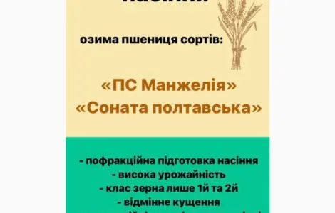 Насіння озимої пшениці високої якості