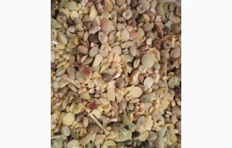 Куплю відходи пшениці