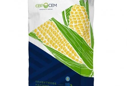 Гибрид кукурузы ДН Орильский Orilsky