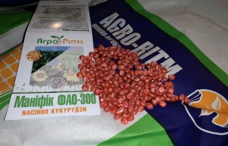 Насіння кукурудзи гібрид Маніфік ФАО 300