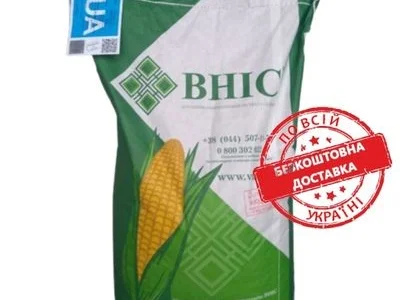 Насіння кукурудзи гібрид ПАРАДІЗ (ФАО 270)