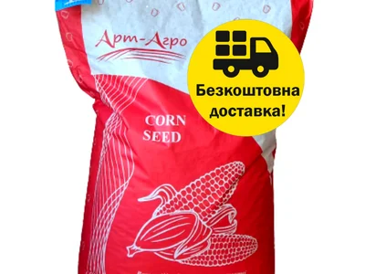 Насіння кукурудзи гібрид БАРТОН ФАО 220