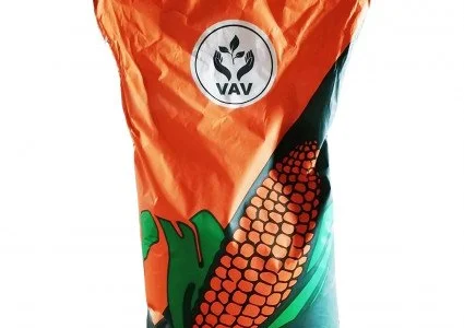 Кукурудза ДН Фієста