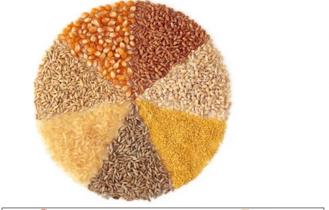 Закупляємо вологу та суху кукурудзу