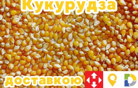 Продам кукурудзу