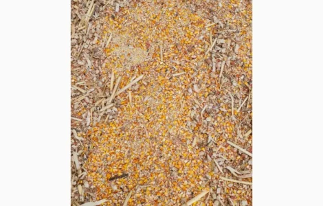 Куплю отход кукурузы