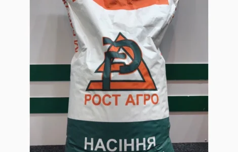 Пропонуються насіння кукурузи від виробника