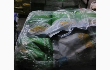 Семена кукурузы РАМ 6475 ФАО 300