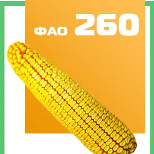 Кукуруза ДН Фиеста ФАО 260