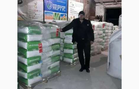 Насіння кукурудзи РАМ 1333 ФАО 180