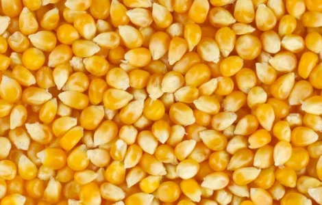 Куплю некондицию