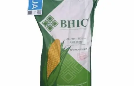 Насіння кукурудзи Тесла ФАО-350 в продаже
