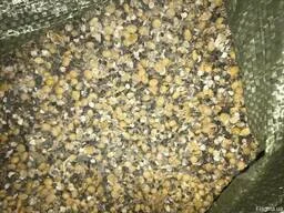 Куплю зерновідходи кукурудзи, половинки сої