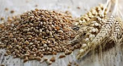 Закупівля некондиційної продукції