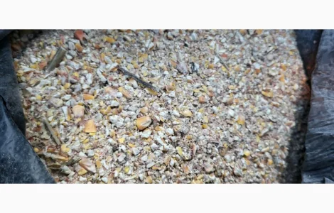 Куплю зерновідходи з кукурудзи