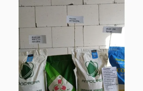 Продам насіння кукурудзи Хотин