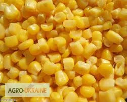 Купуємо кукурузу