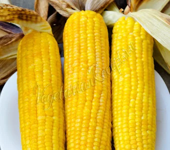 Семена кукурузы ДН София / п.е
