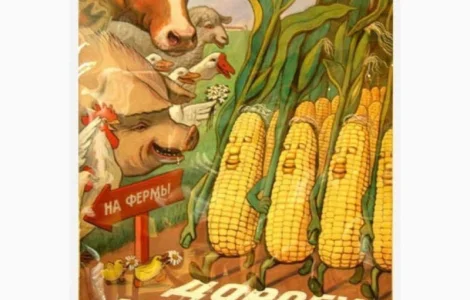 Продам кукурузу на FOB