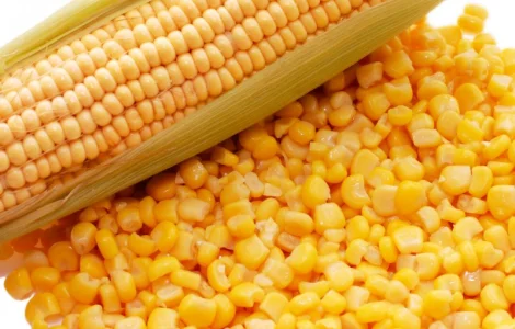 Продам зерна кукурузы. Влага 13