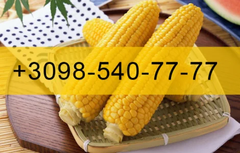 Купую Кукурудзу врожай 2023 року