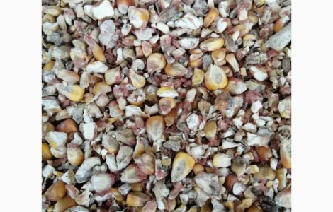 Куплю відходи кукурудзи