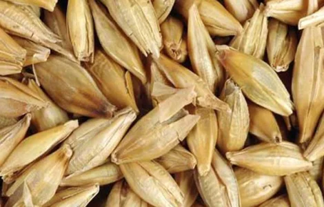 Закупляемо ячмень и отходи на самовивоз